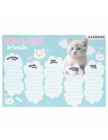 DZIELNYPACJENT.EU|PLAN LEKCJI "KOTKI"|5905523689426