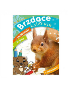 DZIELNYPACJENT.EU|MALOWANKI WODNE "WYCZARUJ OGRÓD WRÓŻEK"|9788379158959