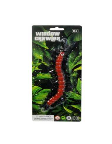 DZIELNYPACJENT.EU|STONOGA CHODZĄCA PO SZYBIE|5902496182718