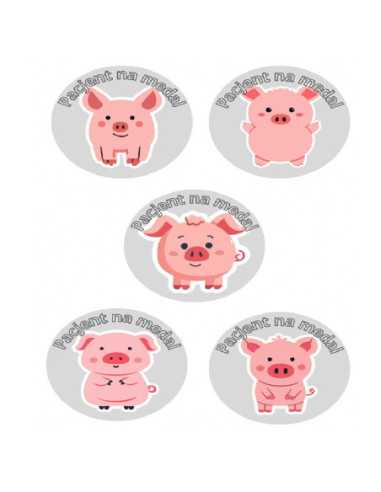 DZIELNYPACJENT.EU|NAKLEJKI DZIELNY PACJENT "SERIA - 1" - 100 szt.|