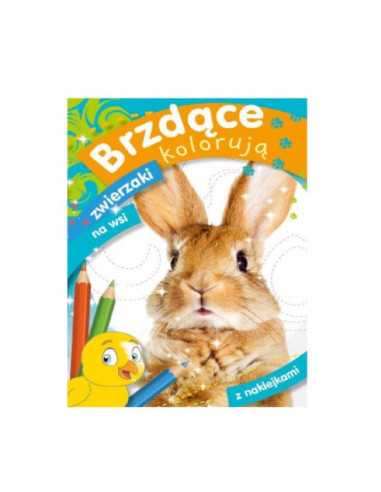 DZIELNYPACJENT.EU|KOLOROWANKA Z NAKLEJKAMI Brzdące kolorują zwierzaki na wsi""|9788379158669